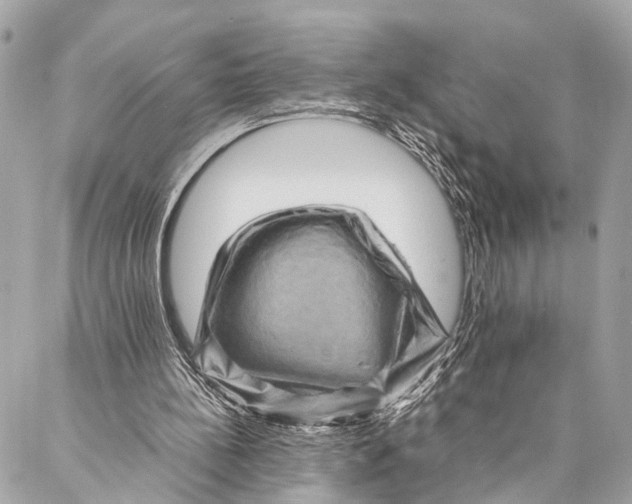 X0000087020148200705071518