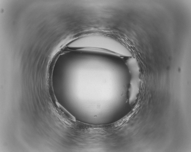 X0000087020150200705071518