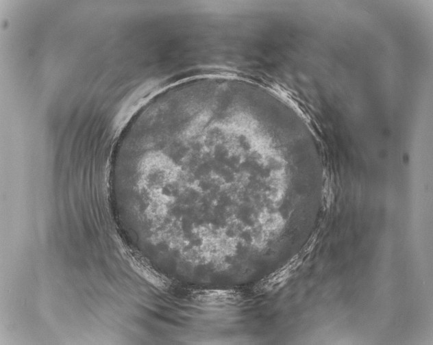 X0000087020151200705071518