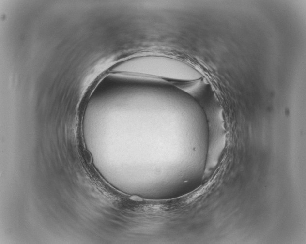 X0000087020152200705071518