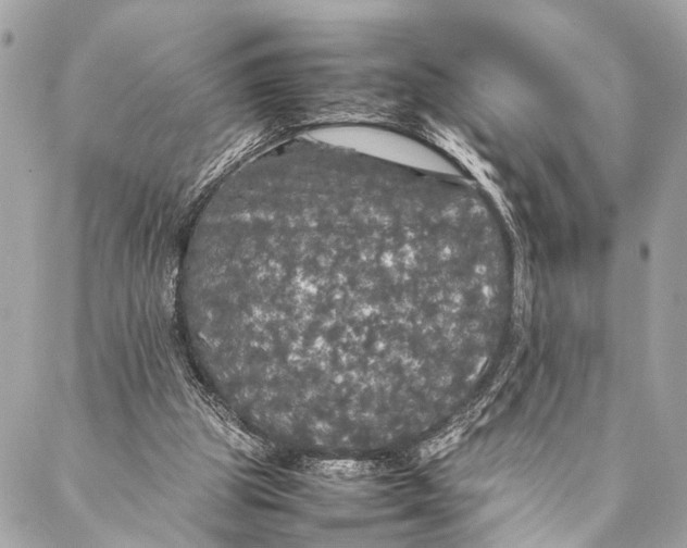 X0000087020153200705071518