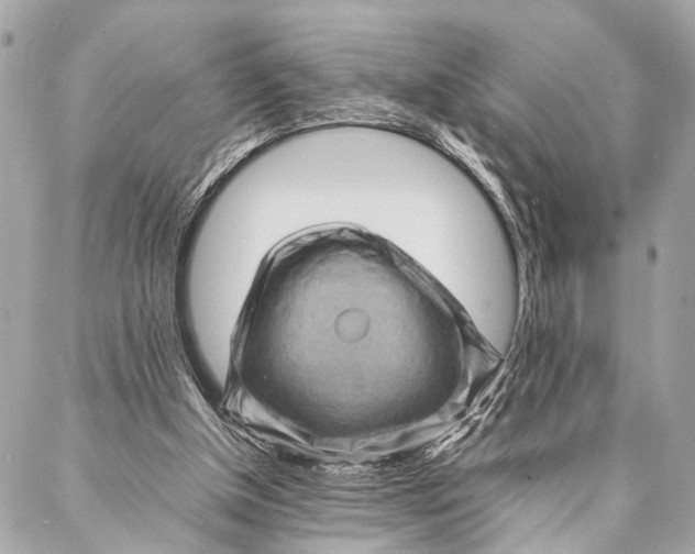 X0000087020154200705071518