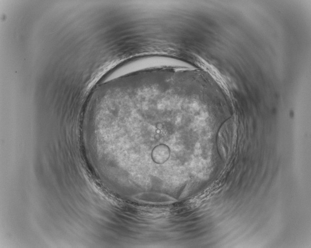 X0000087020155200705071518