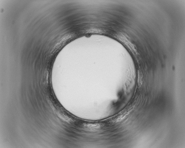 X0000087020157200705071518