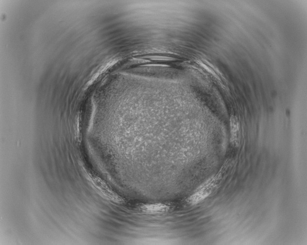 X0000087020158200705071518