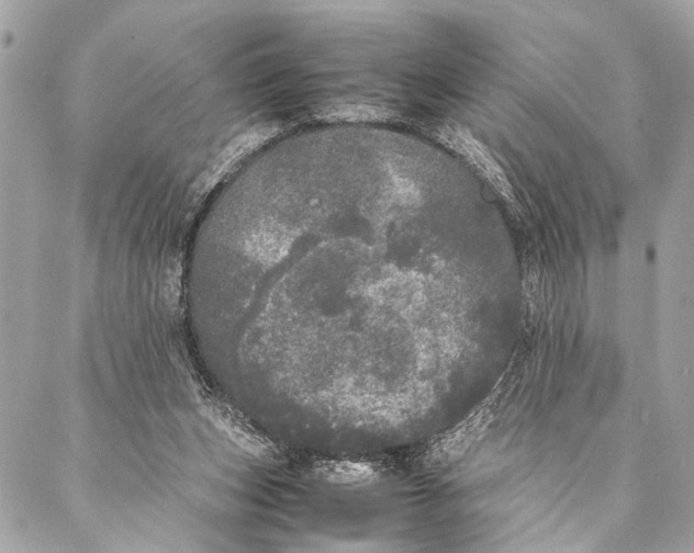 X0000087020159200705071518