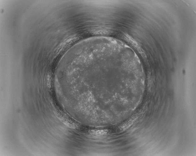 X0000087020161200705071518