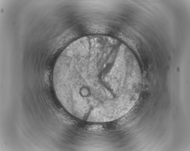 X0000087020162200705071518