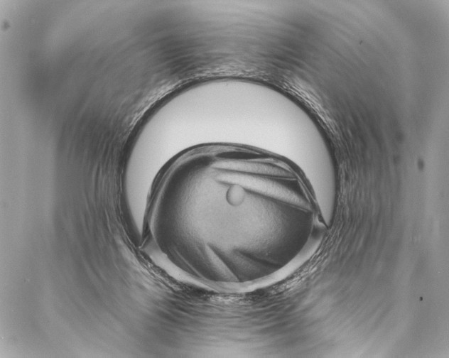 X0000087020164200705071518