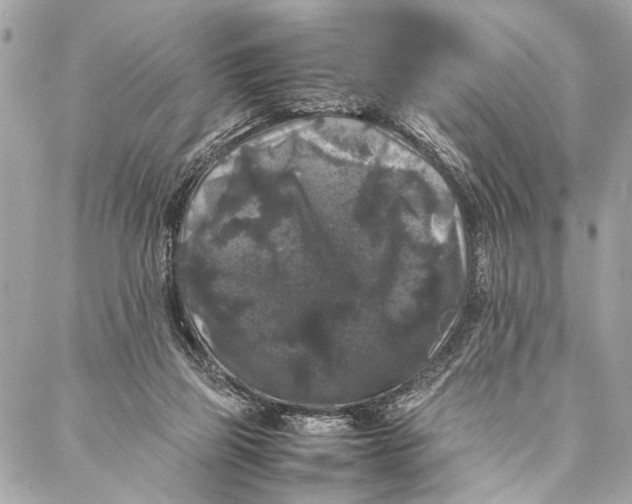 X0000087020165200705071518