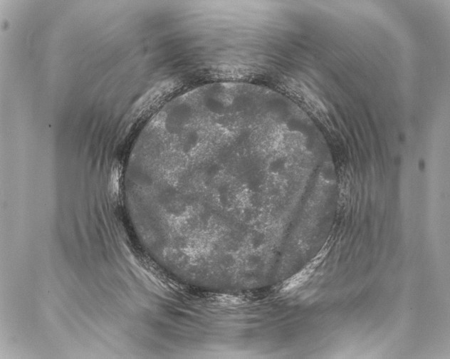 X0000087020166200705071518