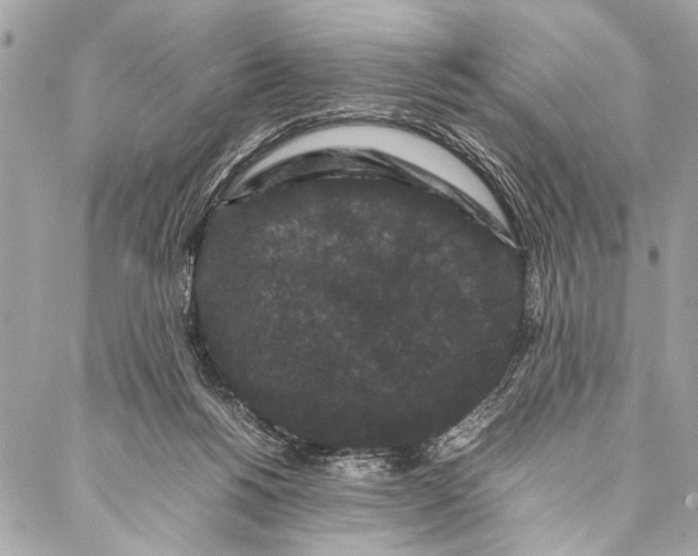 X0000087020168200705071518