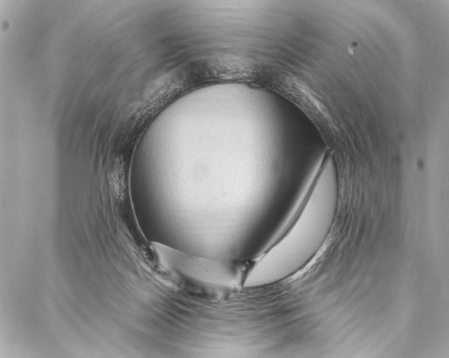 X0000087020170200705071518