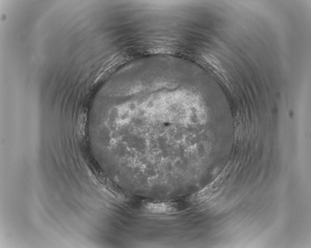 X0000087020171200705071518