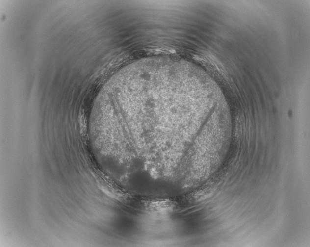 X0000087020173200705071518