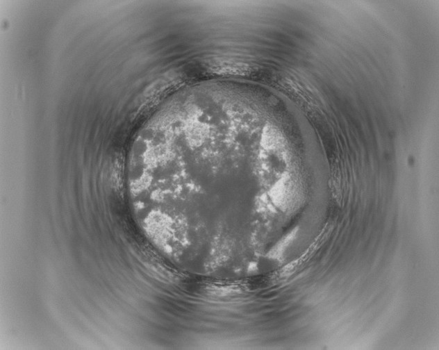 X0000087020175200705071518