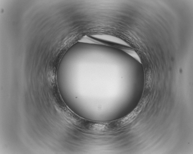 X0000087020176200705071518