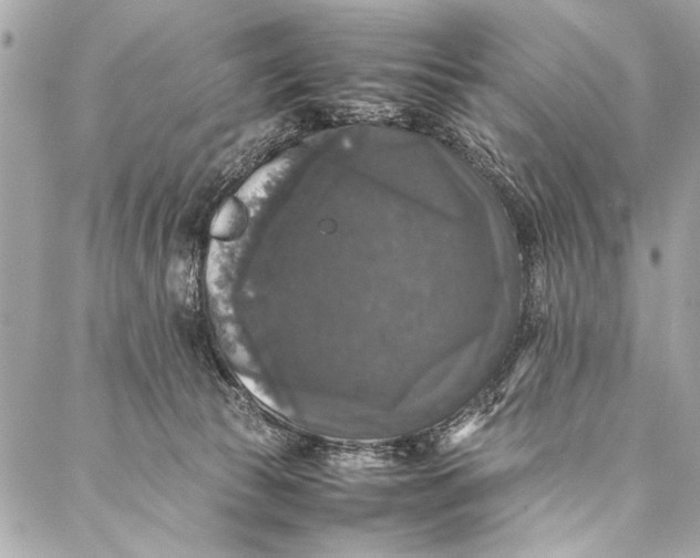 X0000087020177200705071518