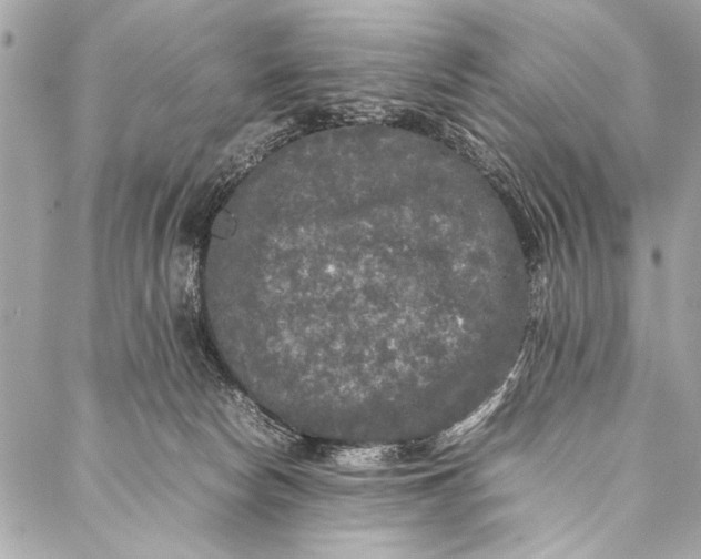 X0000087020178200705071518