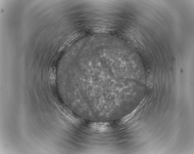 X0000087020179200705071519