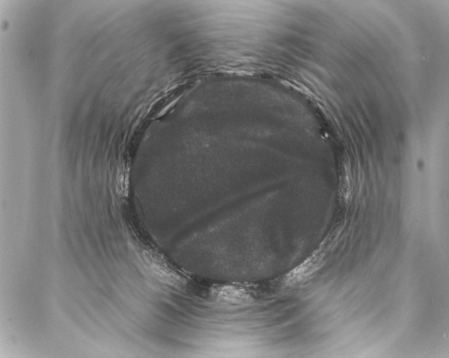 X0000087020180200705071519