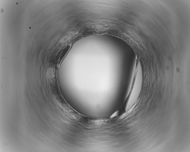 X0000087020184200705071519