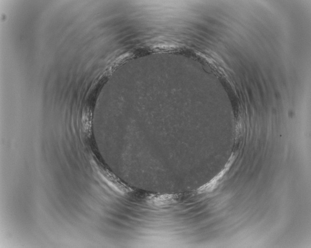 X0000087020186200705071519