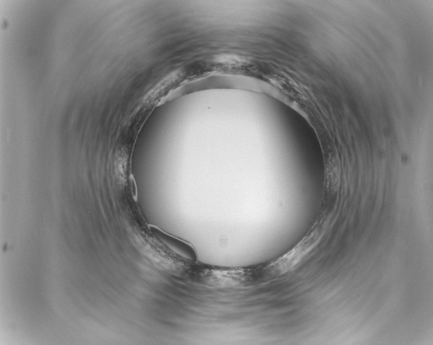 X0000087020188200705071519