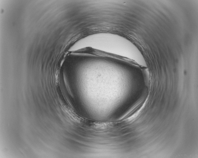 X0000087020190200705071519