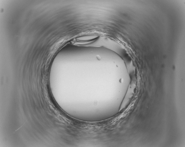 X0000087020193200705071518