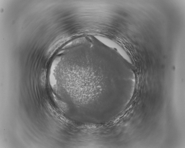 X0000087020194200705071518