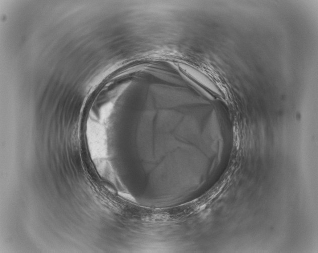 X0000087020196200705071518