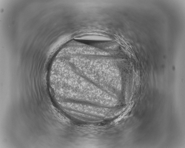 X0000087020197200705071518