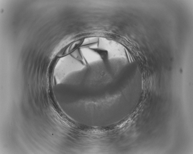 X0000087020198200705071518