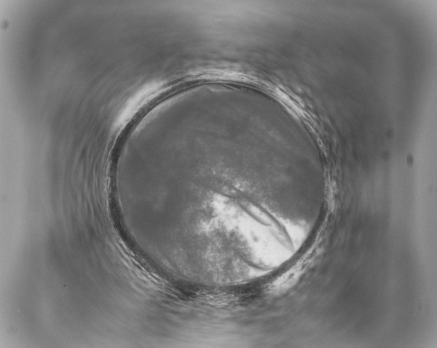 X0000087020199200705071518