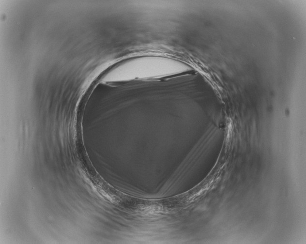 X0000087020200200705071518