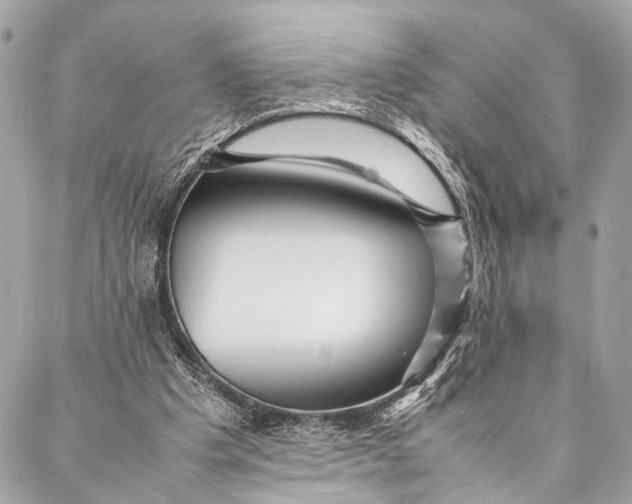 X0000087020201200705071518