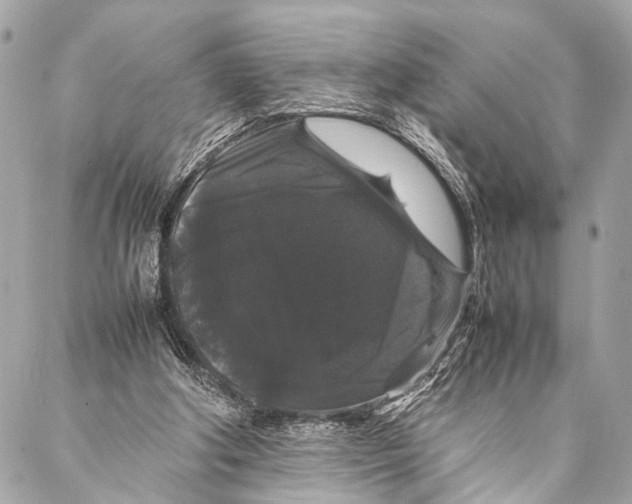 X0000087020202200705071518