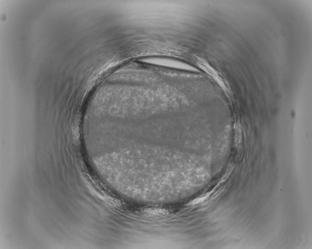 X0000087020203200705071518