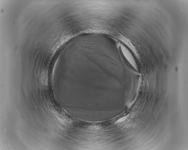 X0000087020204200705071518