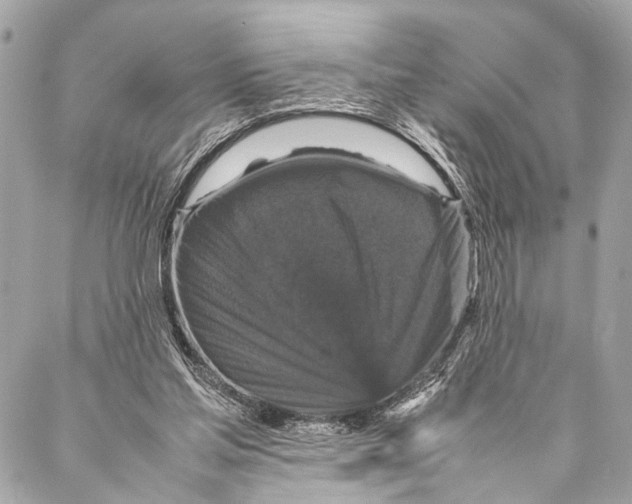 X0000087020205200705071518