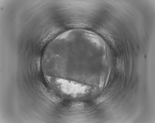 X0000087020206200705071518