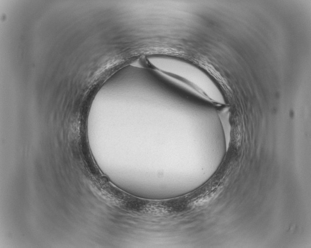 X0000087020207200705071518