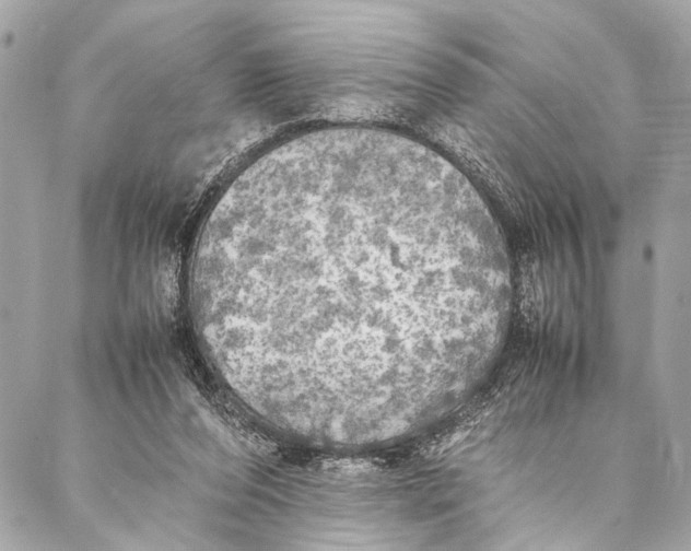 X0000087020208200705071518