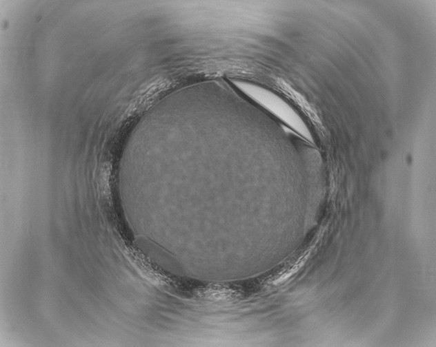 X0000087020209200705071518