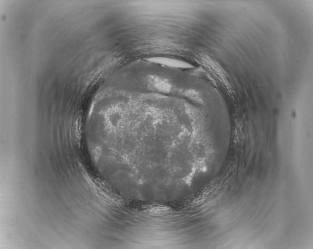 X0000087020210200705071518