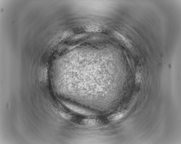 X0000087020211200705071518