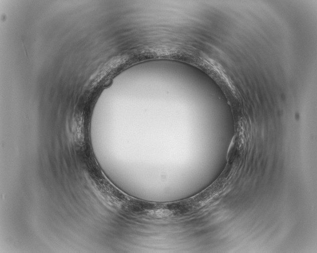 X0000087020212200705071518