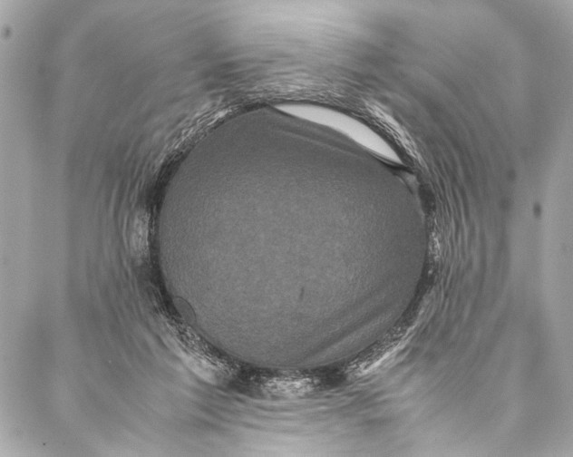 X0000087020213200705071518