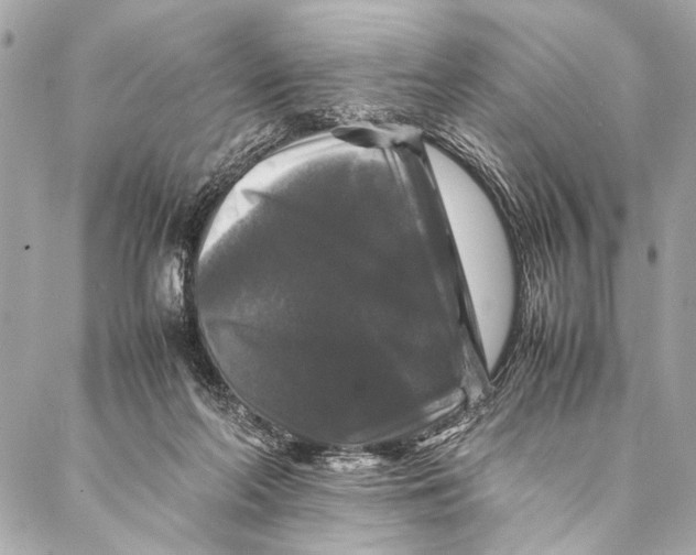 X0000087020214200705071518